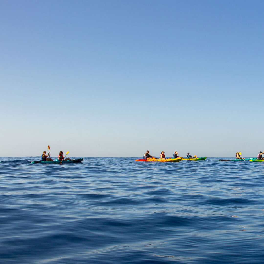 Cassis kayak Marseille calanques aventure excursions guide en-vau port-miou port-pin presqu'île paddle La Ciotat parc national activité nautique outdoor vacances holidays
